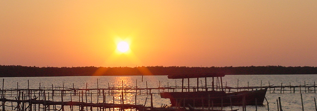 Cayo Conuco