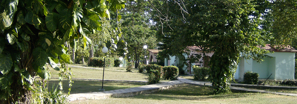 La Barbacoa
