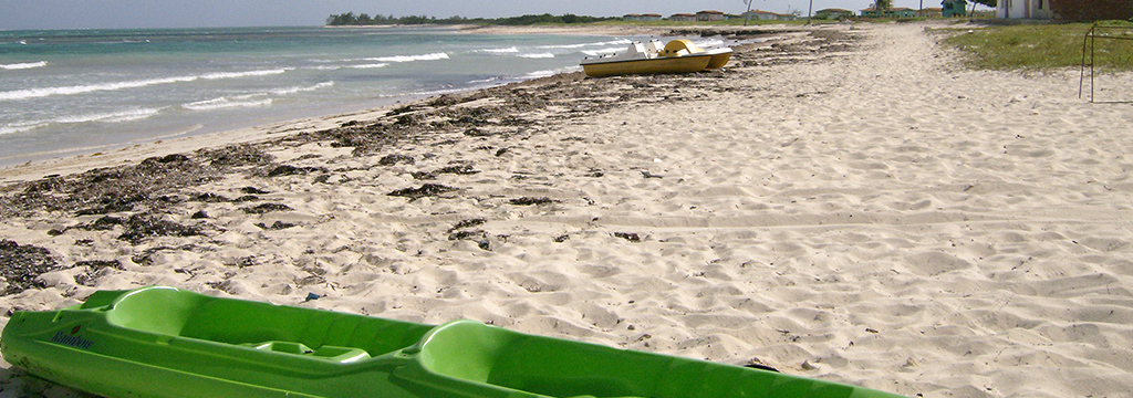Punta de Ganado