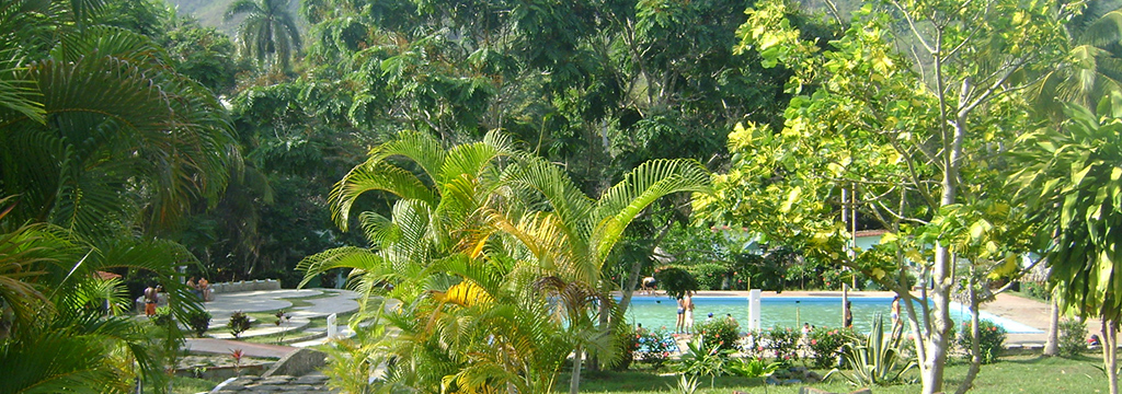 Planta Cantú